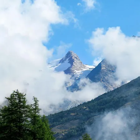Falke * Saas Fee